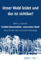 Nußlocher Gemeindewald: